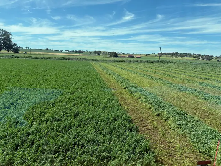 Second view of Homely rural property listing, 349 Nangar Road, Canowindra NSW 2804