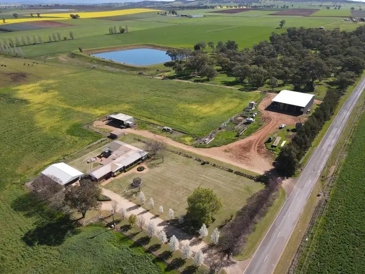 Third view of Homely rural property listing, 349 Nangar Road, Canowindra NSW 2804