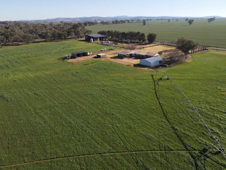 Third view of Homely rural property listing, 349 Nangar Road, Canowindra NSW 2804