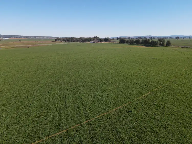 Fourth view of Homely rural property listing, 349 Nangar Road, Canowindra NSW 2804