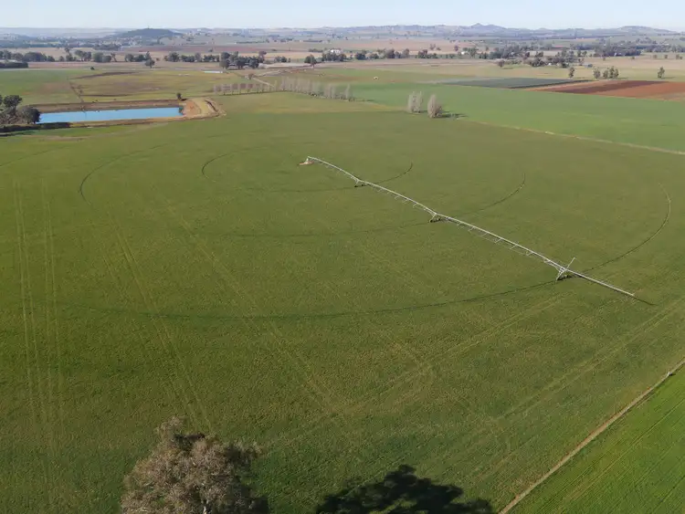 Fifth view of Homely rural property listing, 349 Nangar Road, Canowindra NSW 2804