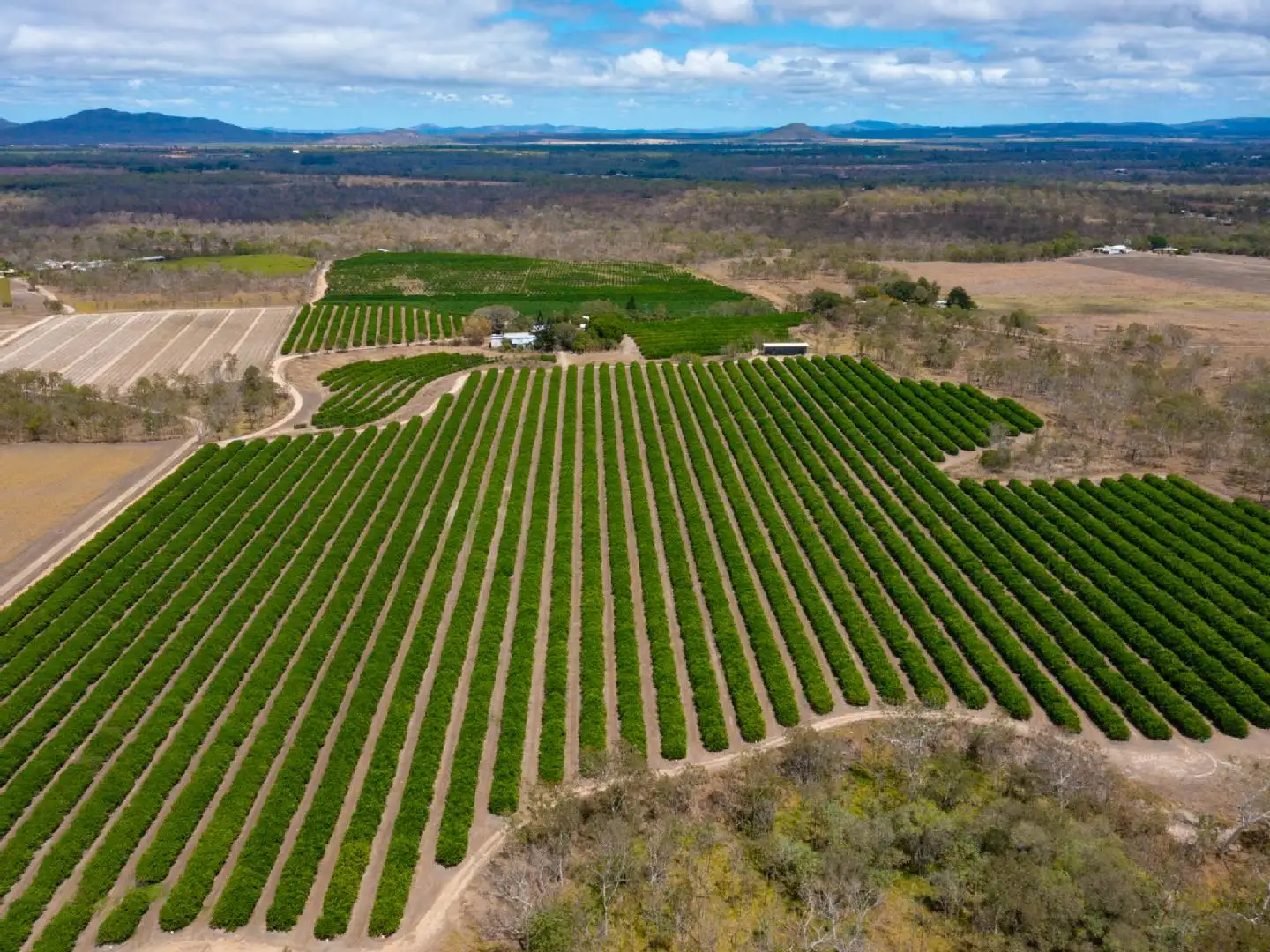 Main view of Homely rural property listing, 22 LEONARDI ROAD, Mareeba QLD 4880