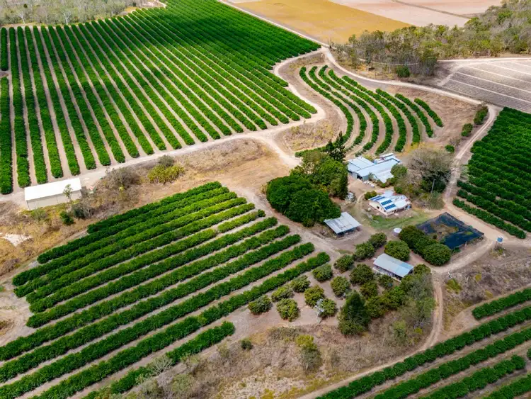 Second view of Homely rural property listing, 22 LEONARDI ROAD, Mareeba QLD 4880