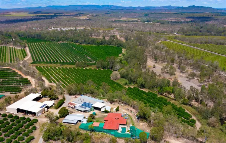Fourth view of Homely rural property listing, 22 LEONARDI ROAD, Mareeba QLD 4880