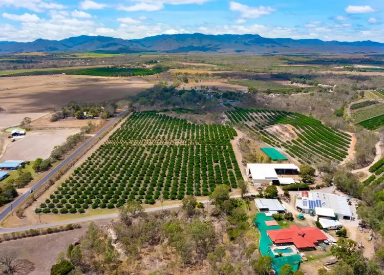 Fifth view of Homely rural property listing, 22 LEONARDI ROAD, Mareeba QLD 4880
