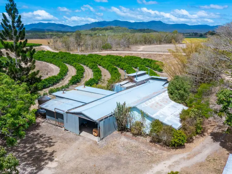 Seventh view of Homely rural property listing, 22 LEONARDI ROAD, Mareeba QLD 4880