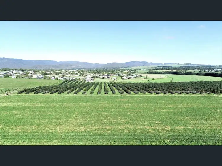 139 Tinaroo Falls Dam Road, Atherton QLD 4883