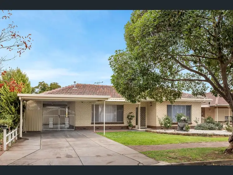 Main view of Homely house listing, 14 Pitt Street, Paradise SA 5075