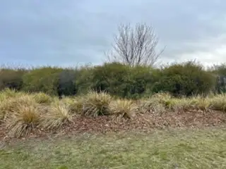 Seventh view of Homely land listing, LOT 12 MOLLISON ST MALMSBURY, Malmsbury VIC 3446