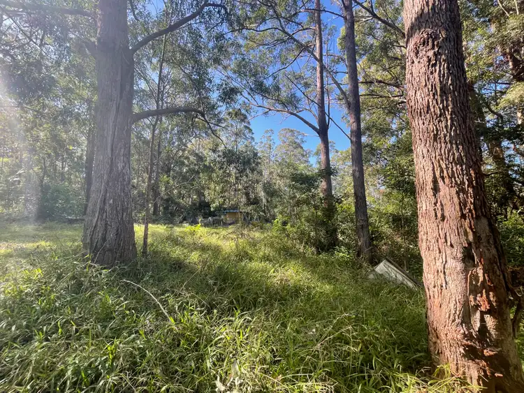 Main view of Homely land listing, 489 Davis Road, Jiggi NSW 2480