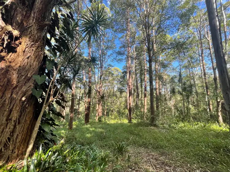 Third view of Homely land listing, 489 Davis Road, Jiggi NSW 2480