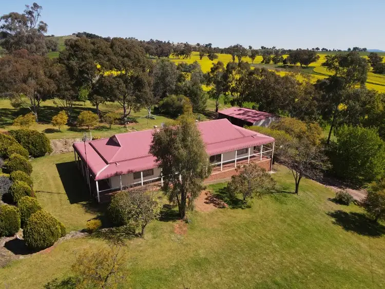 Main view of Homely rural property listing, 306 Moola Road, Canowindra NSW 2804