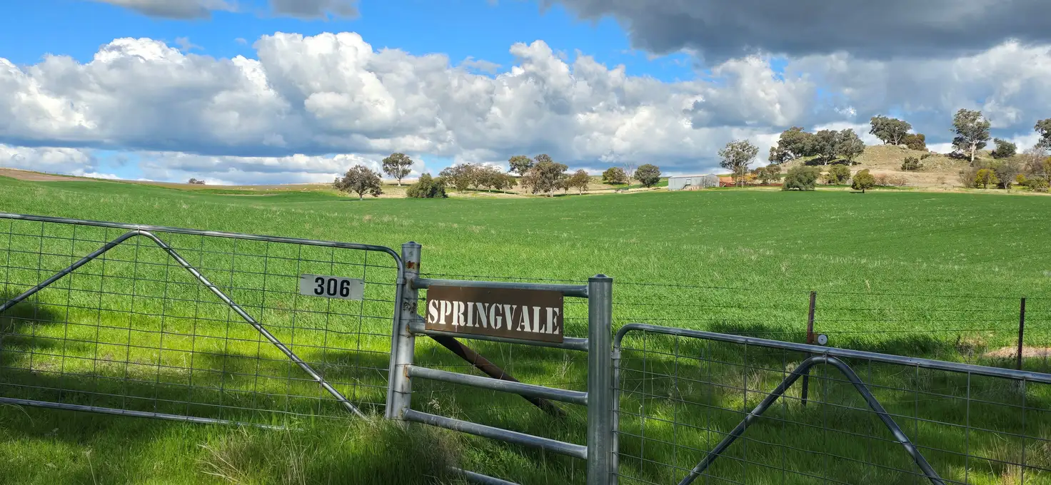 Main view of Homely rural property listing, "Springvale" 306 Moola Road, Canowindra NSW 2804
