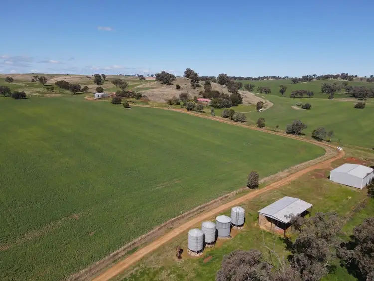 Second view of Homely rural property listing, 306 Moola Road, Canowindra NSW 2804