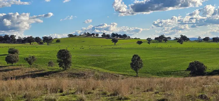 Fourth view of Homely rural property listing, "Springvale" 306 Moola Road, Canowindra NSW 2804
