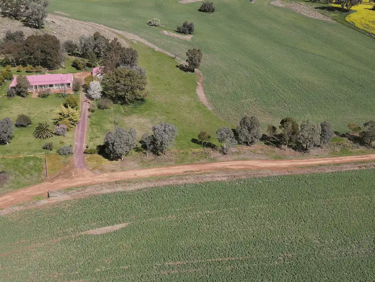 Fourth view of Homely rural property listing, 306 Moola Road, Canowindra NSW 2804