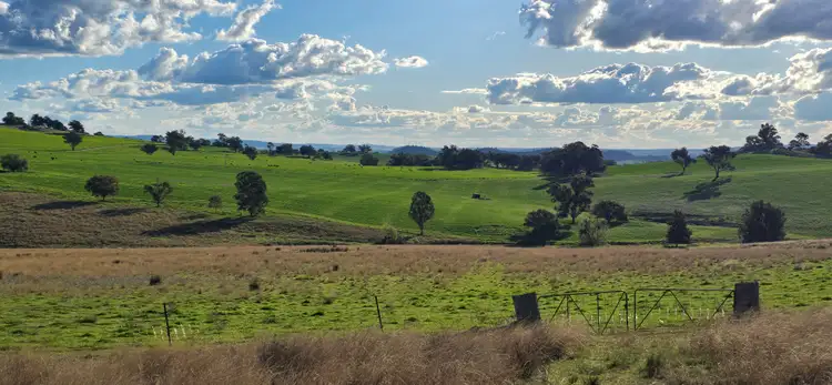 Fifth view of Homely rural property listing, "Springvale" 306 Moola Road, Canowindra NSW 2804