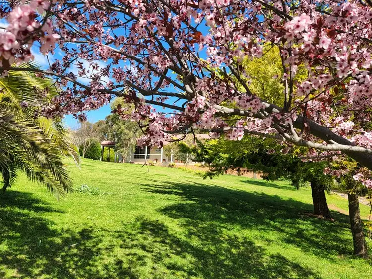 Fifth view of Homely rural property listing, 306 Moola Road, Canowindra NSW 2804