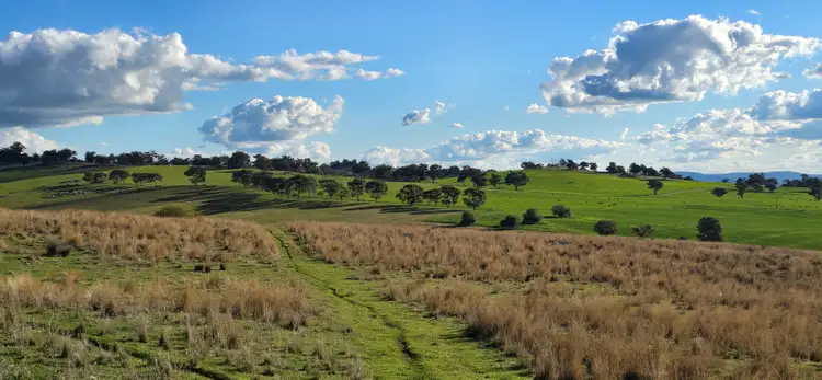 Sixth view of Homely rural property listing, "Springvale" 306 Moola Road, Canowindra NSW 2804