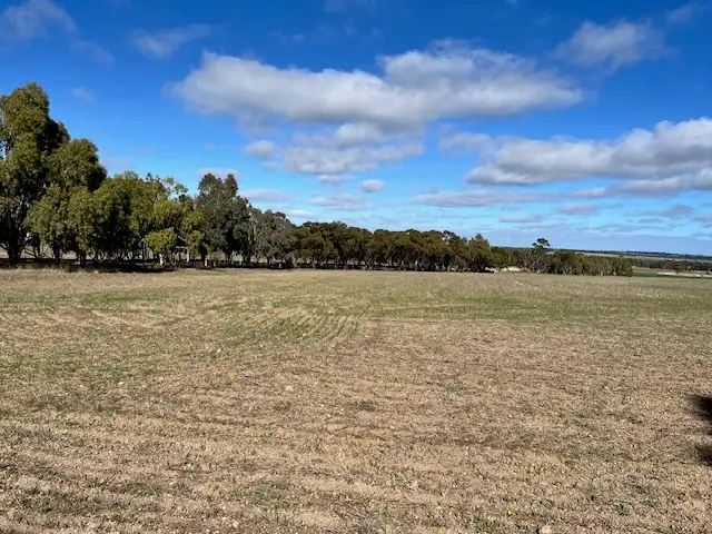 Fourth view of Homely rural property listing, 18 MANNING ROAD, Quairading WA 6383