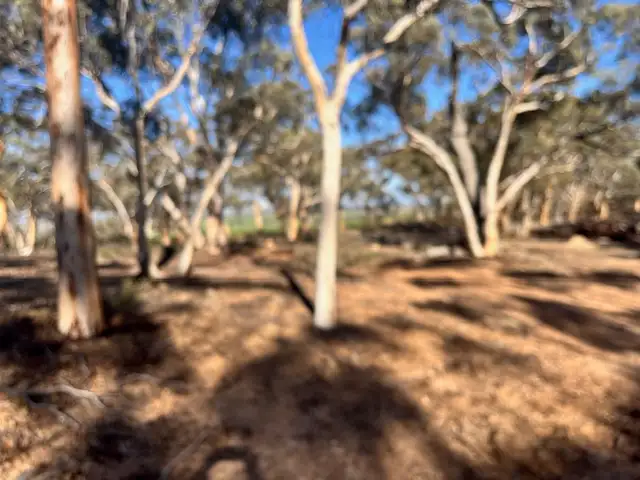 Fifth view of Homely rural property listing, 18 MANNING ROAD, Quairading WA 6383