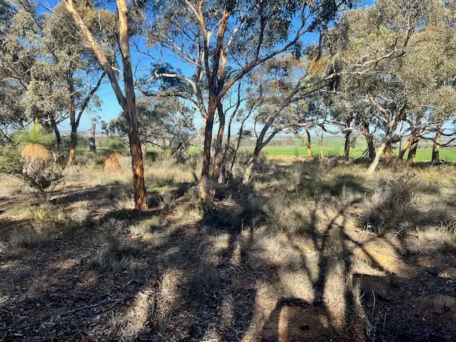 Sixth view of Homely rural property listing, 18 MANNING ROAD, Quairading WA 6383