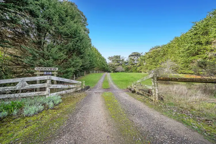 Third view of Homely rural property listing, 808 Henty Highway, Bolwarra VIC 3305