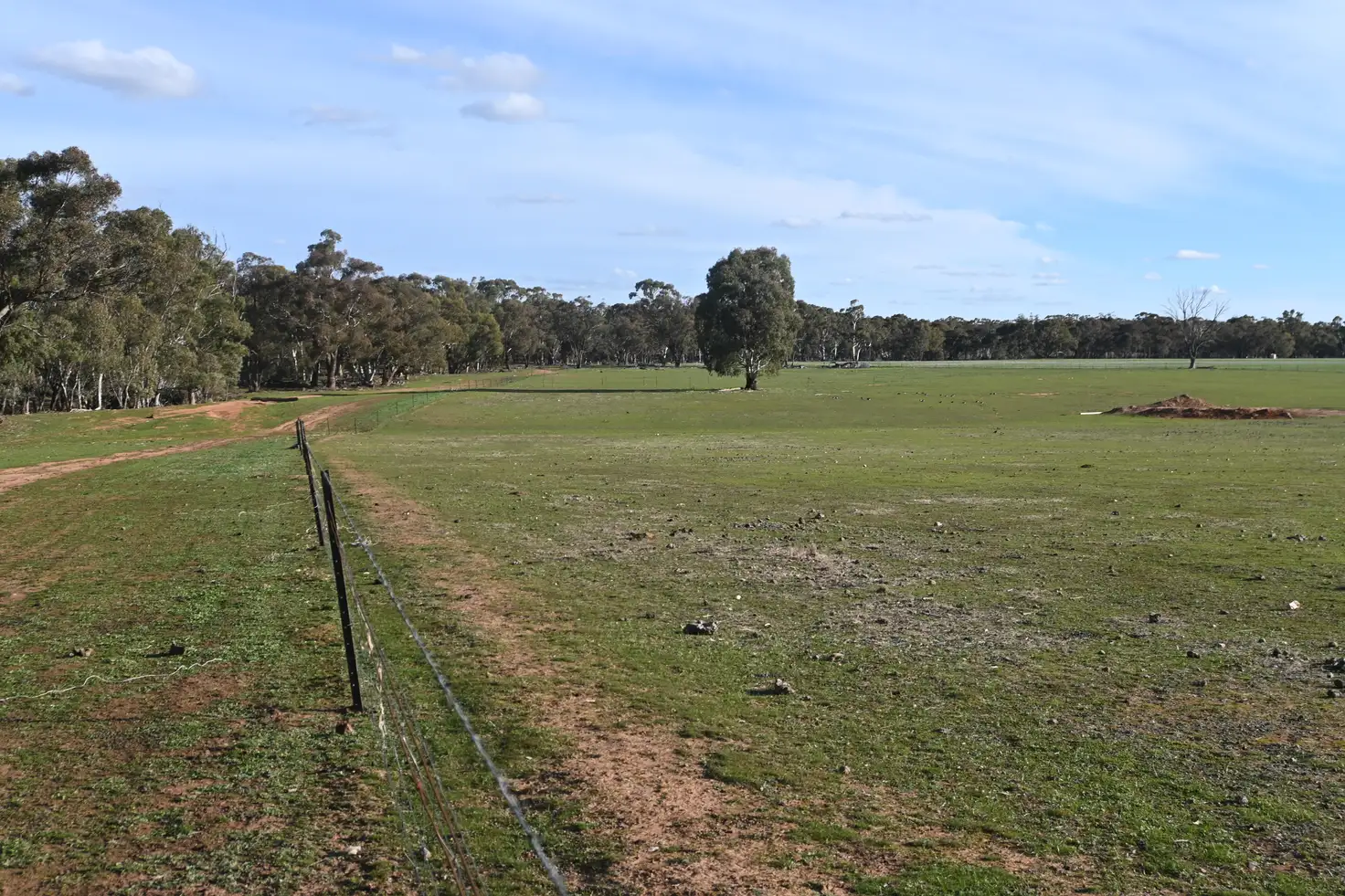 Main view of Homely rural property listing, LOT CA, 79 Woolshed Flat Road, Woolshed Flat VIC 3518
