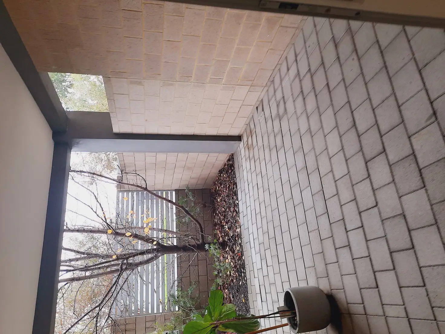 Main view of Homely apartment listing, 2/62 First Avenue, Bassendean WA 6054