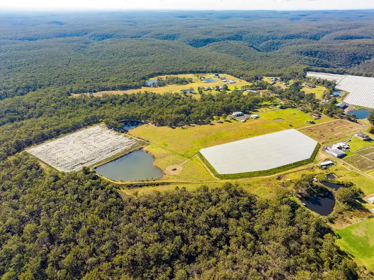 Fifth view of Homely land listing, 141 Aberfoyle Road, Wedderburn NSW 2560