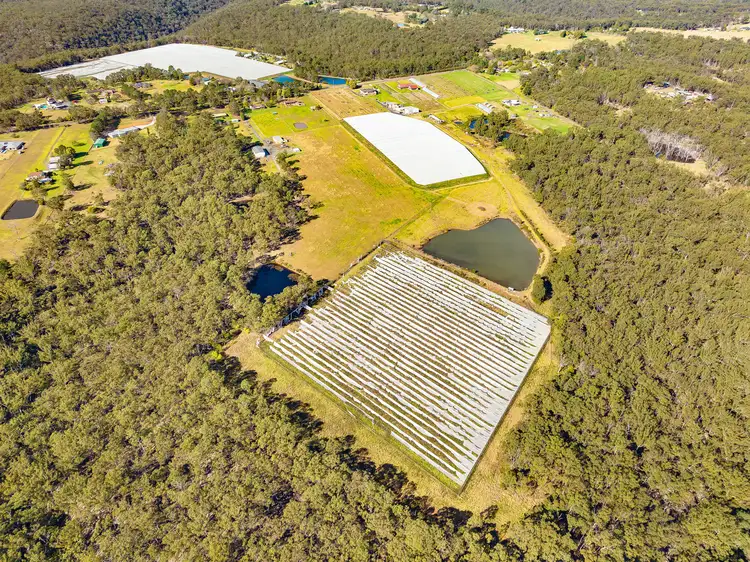 Seventh view of Homely land listing, 141 Aberfoyle Road, Wedderburn NSW 2560