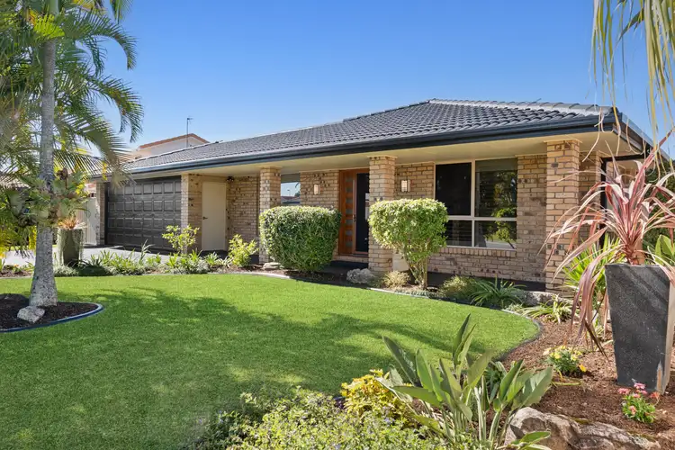Second view of Homely house listing, 31 Agave Street, Elanora QLD 4221