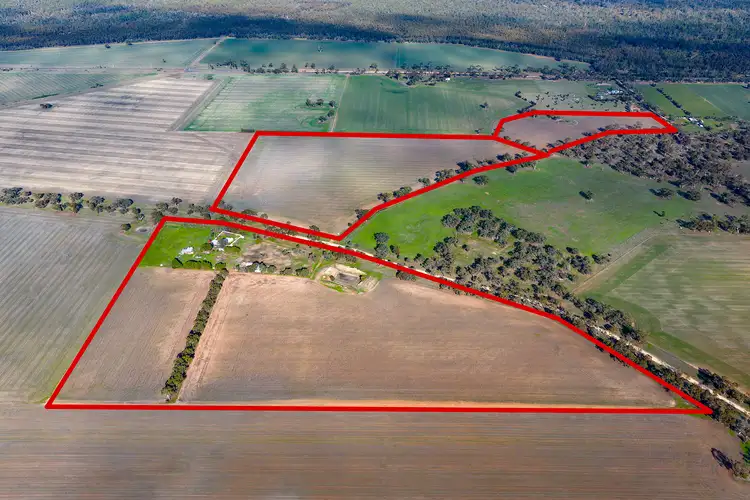 Main view of Homely rural property listing, 161 Settlement Road, Dimboola VIC 3414