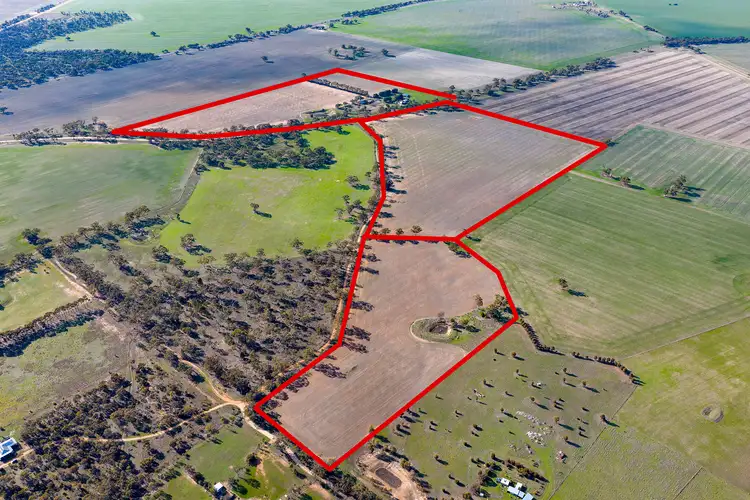 Second view of Homely rural property listing, 161 Settlement Road, Dimboola VIC 3414