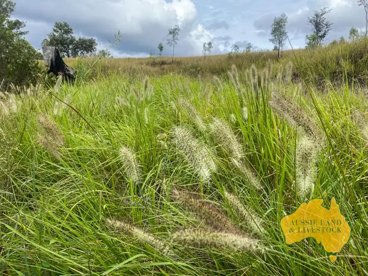 Seventh view of Homely rural property listing, 59 MUNGY ROAD, Mungy QLD 4671