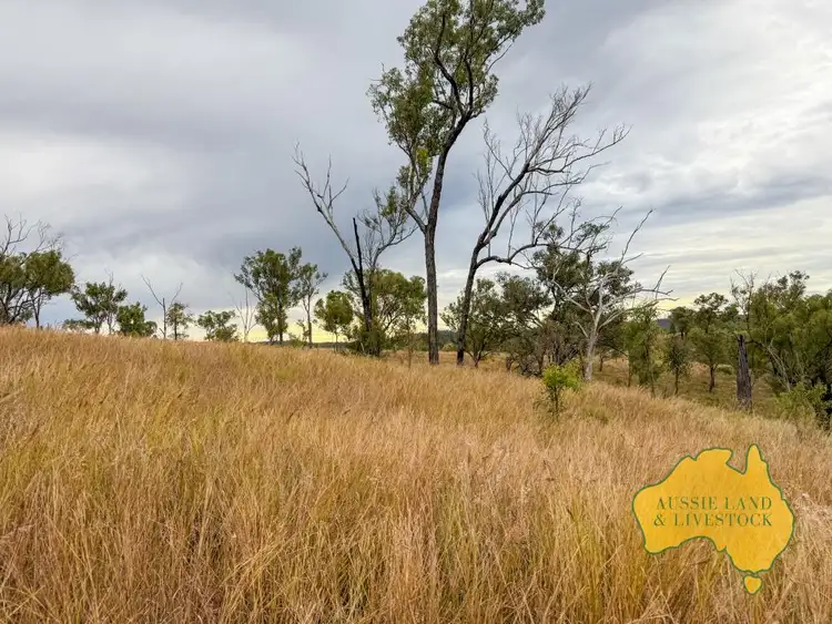 Third view of Homely rural property listing, LOT "Chapmans", Lot 14 Monto Mount Perry Road, Mungy QLD 4671
