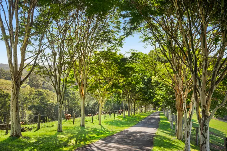 216 Jorgensen Road, Ridgewood QLD 4563