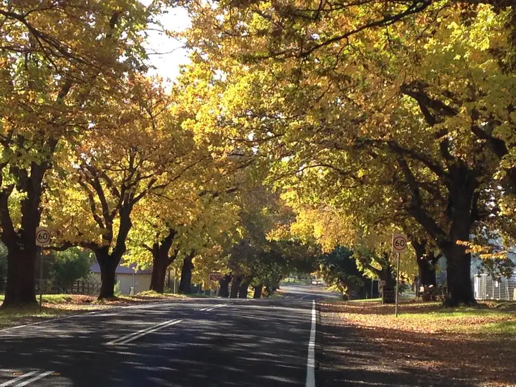 Seventh view of Homely land listing, 27 Eldon Street, Glenlyon VIC 3461