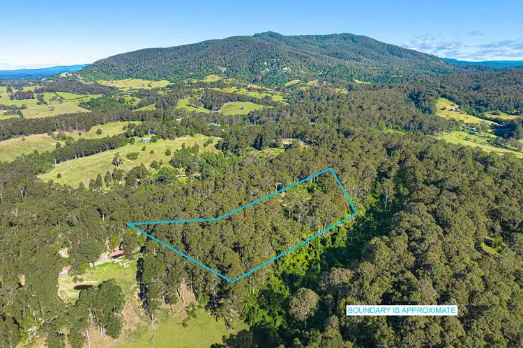 Main view of Homely land listing, 212 Ridge Road, Central Tilba NSW 2546