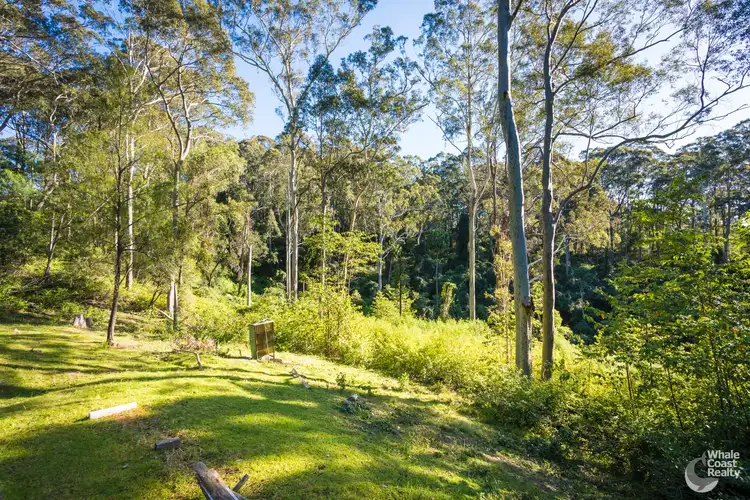 Seventh view of Homely land listing, 212 Ridge Road, Central Tilba NSW 2546
