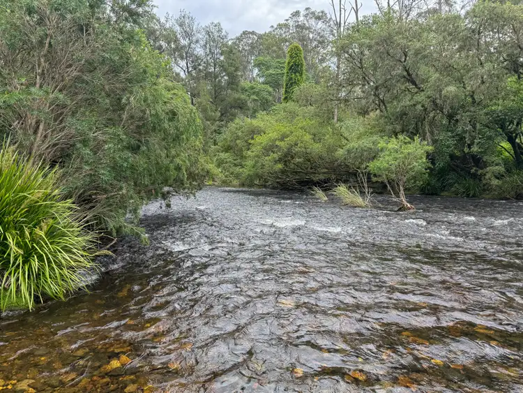 Fifth view of Homely land listing, 3461 Nowendoc Road, Caffreys Flat NSW 2424