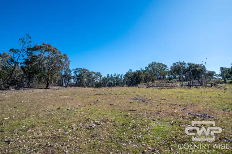 Third view of Homely rural property listing, LOT 16, 18, - Emmaville Rd, Emmaville NSW 2371
