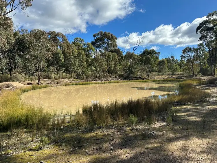 Main view of Homely land listing, 454 Cainbil Road, Coolah NSW 2843