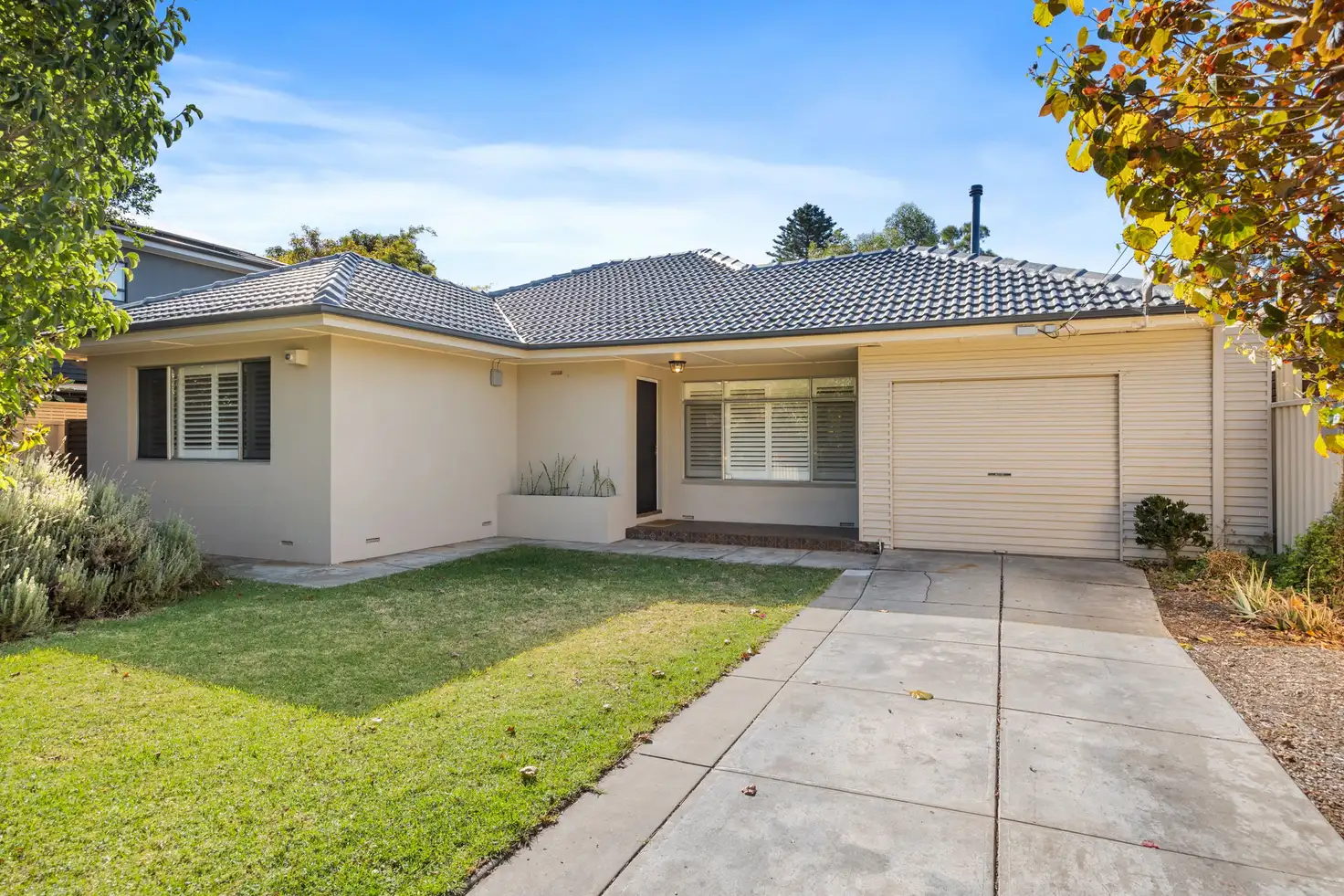 Main view of Homely house listing, 16 Collingrove Avenue, Broadview SA 5083