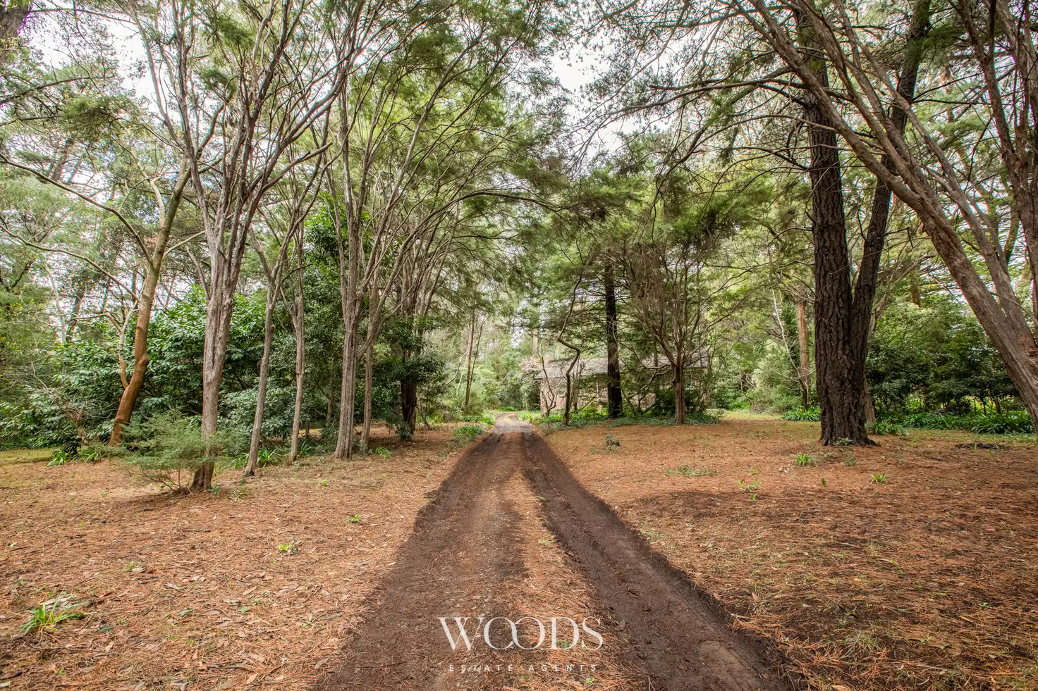 Main view of Homely house listing, 2 - 4 Station Avenue, Emerald VIC 3782