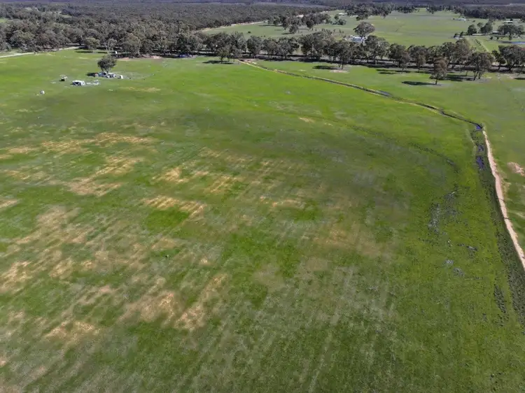 Fifth view of Homely rural property listing, - Arnold West-Inglewood Road, Inglewood VIC 3517