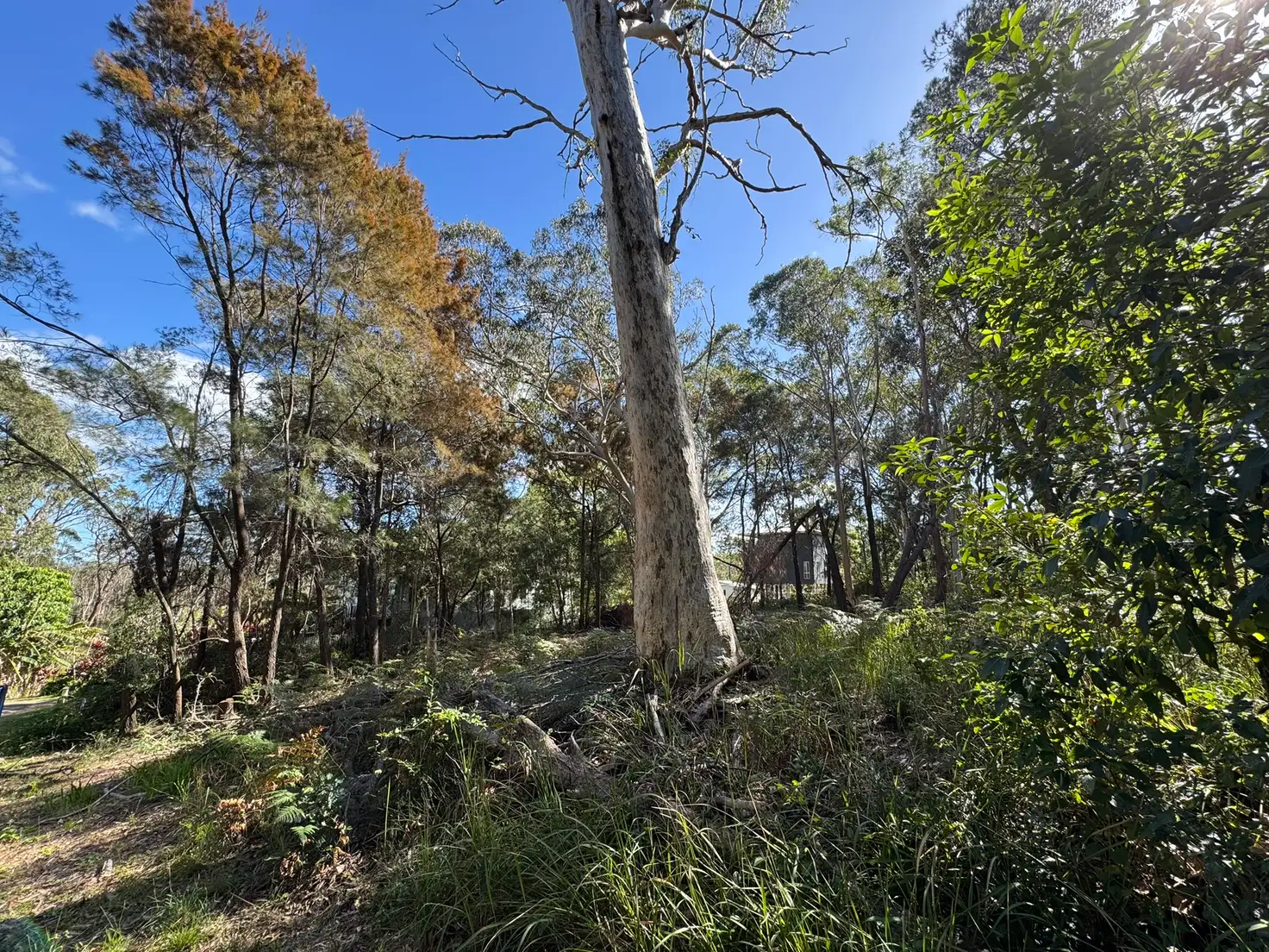 Main view of Homely land listing, 7 TULIP STREET, Russell Island QLD 4184