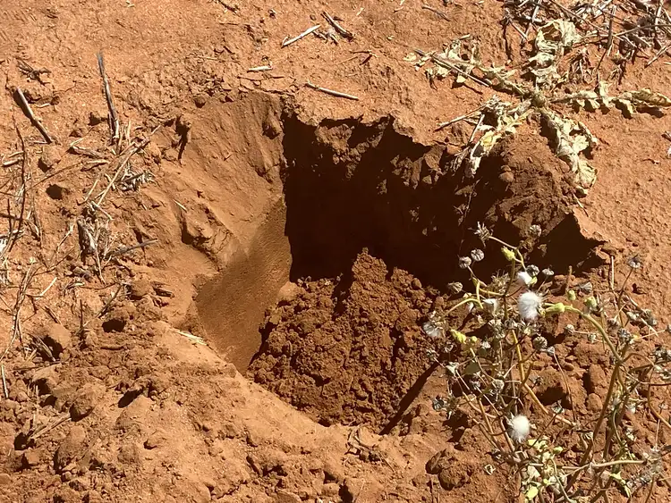 23060 Sturt Highway, Yamba SA 5340