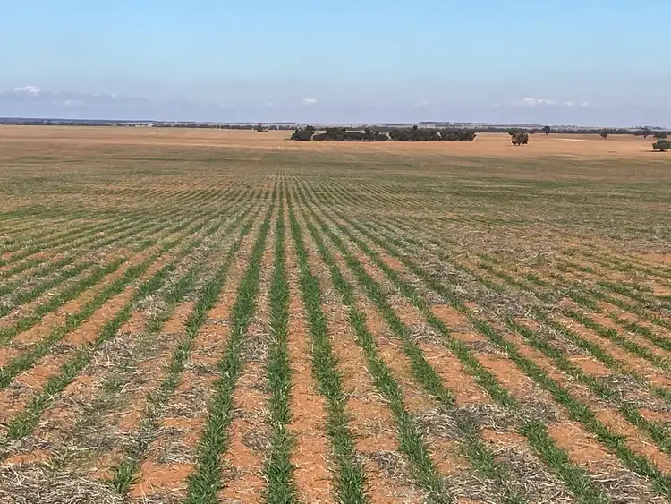 Second view of Homely rural property listing, 23060 Sturt Highway, Yamba SA 5340