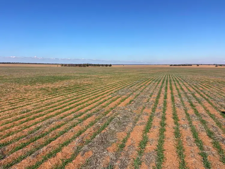 Sixth view of Homely rural property listing, 23060 Sturt Highway, Yamba SA 5340